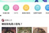 九一网页版免费在线电脑网页版,免费在线电脑网页版深度解析
